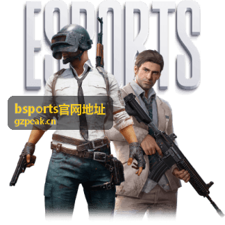 bsports官网地址移动端访问服务